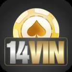 14vin Gaming VIP