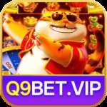 q9bet - VIP VIP